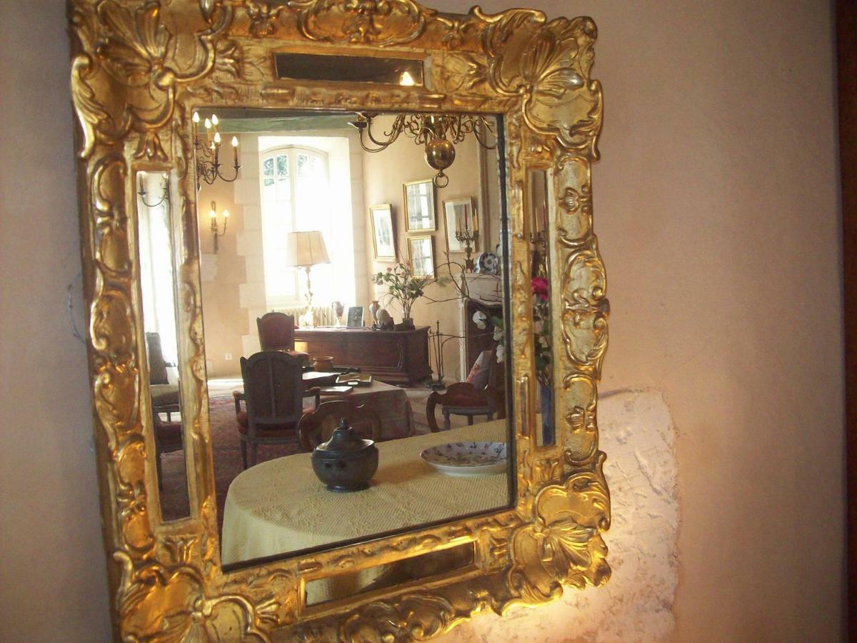 Chateau La Gentilhommiere Du Puits Notre-Dame 30 Rue De L'Eglise 24110 Saint Leon Sur L'Isle ภายนอก รูปภาพ